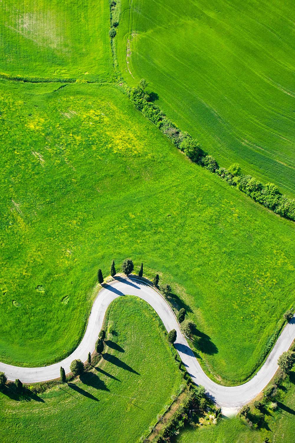 This image for Image Layouts addon